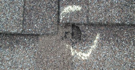 How To Replace Roof Shingles After Wind Damage Hausex Home Solutions