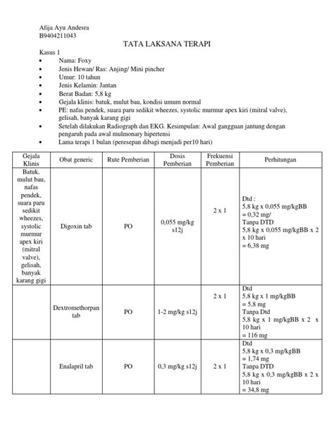 Penulisan Resep Obat Pdf