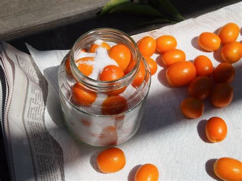 Preserved Kumquats In Salt And Kumquat Honey Tea Kumquat Recipes Citrus Recipes Canning Recipes