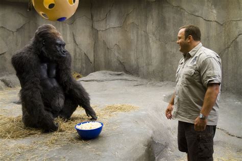 Reel Times: Reflections on Cinema: Zookeeper