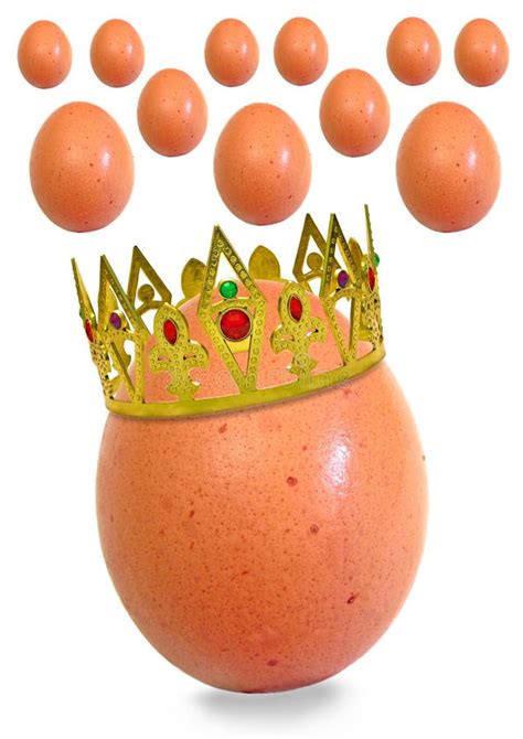 King Egg And His Subjects Stock Image Image Of Class 18490659