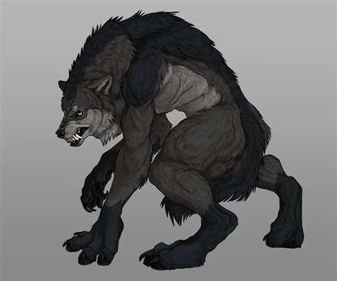 Fenris Fenris2311 On X Female Werewolves Werewolf Drawing