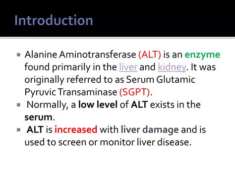 Sgpt Transaminases élevées 2