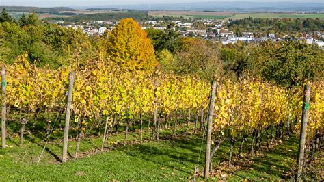 Weinberg 175 L Bad Nauheim Hessen Germany Vitalij Sosna Flickr