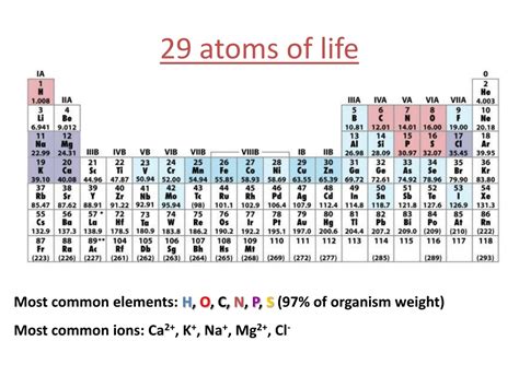 Ppt Fundamentals Of Protein And Nucleic Acid Structure Powerpoint