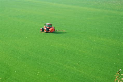 Sod Farm & Nursery in Vancouver, WA & Portland OR