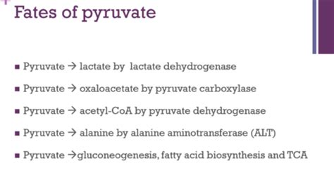 Tricarboxylic Acid Cycle (TCA)/Krebs/Citric Acid Flashcards | Quizlet