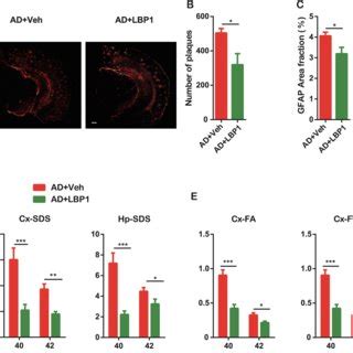 LBP1 Alleviates Ab Levels Amyloid Plaque Burden And Gliosis In Vivo