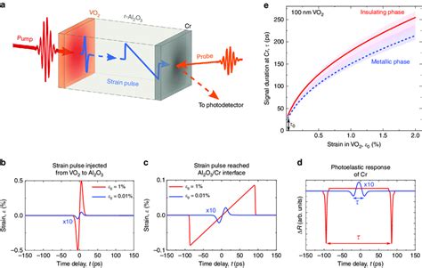 Principles Of Generation Propagation And Detection Of The Strain