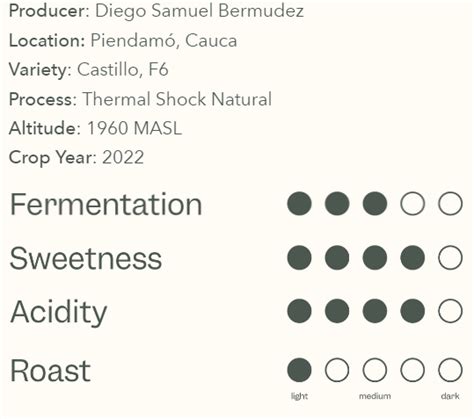 Brewing Perfection: Tips and Tricks for the Pourover Enthusiast