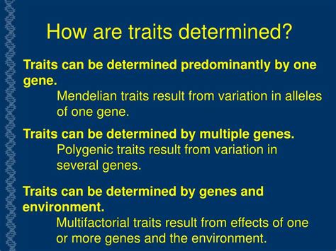 PPT - Human Genetics PowerPoint Presentation, free download - ID:6910094