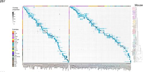 Pdf A Multimodal Cell Census And Atlas Of The Mammalian Primary Motor