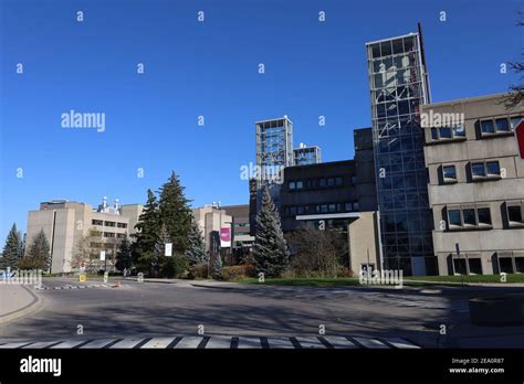 Mcmaster University Campus Hamilton Ontario Canada Stock Photo Alamy