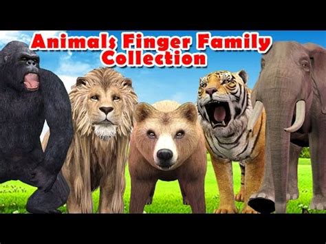 Animals Cartoons Singing Finger Family Rhymes Collection | Children ...