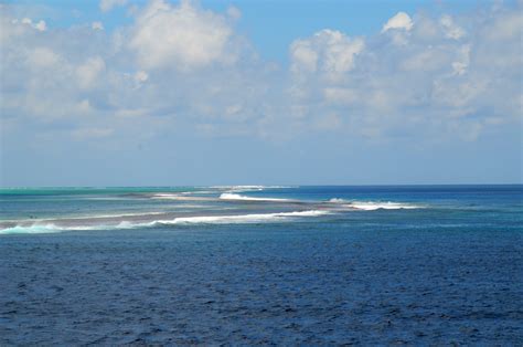 Dia Mundial dos Oceanos assinala importância da inovação Plataforma Media