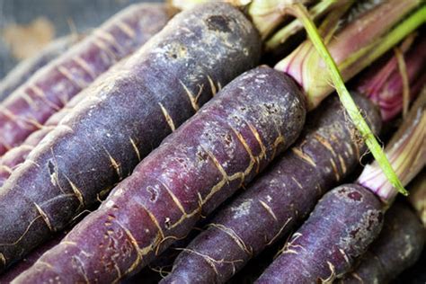 heirloom seeds     grow  allthatgrows