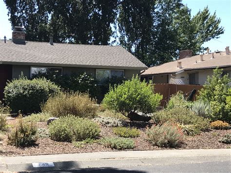 Pin by Michelle Mangrum on California Native Plants USDA Zone 9b