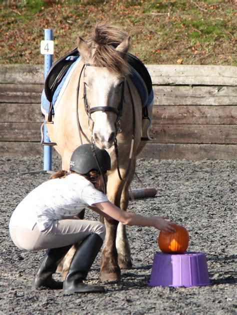 Halloween Fancy Dress Competition and Gymkhana - Greatham Equestrian Centre