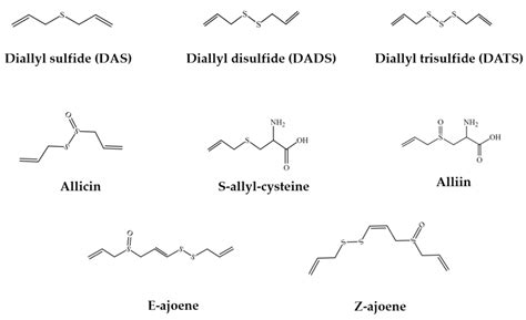 Bioactive Compounds and Biological Functions of Garlic (Allium sativum L.)