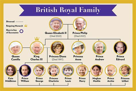 british royal family tree  complete guide   modern monarchy