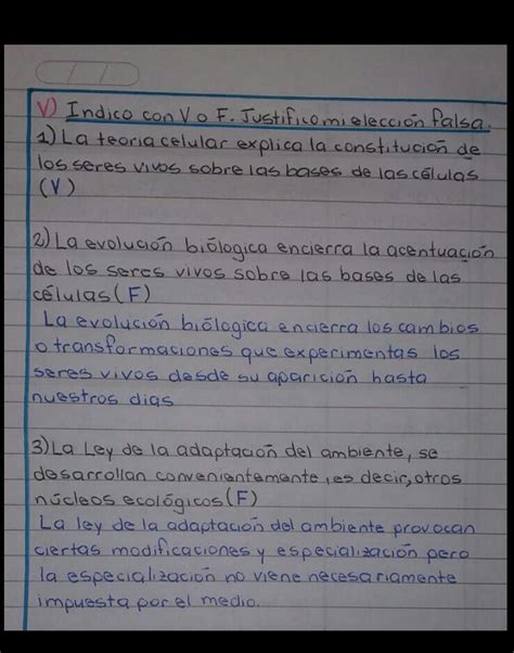 Lee Detenidamente Los Enunciados Reflexiona Y Escribe Sobre Las