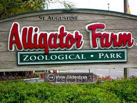 St Augustine Alligator Farm | 2FLA Florida's Vacation and Travel Guide