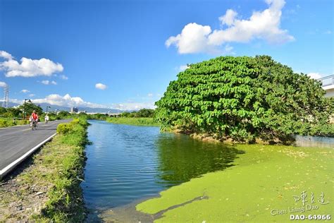 Dao 64966 新海人工濕地 河濱公園 濕地 自然生態 生態池 大漢溪 大漢溪右岸 大漢溪右岸自行車道 新北市 板橋區 A Photo On Flickriver