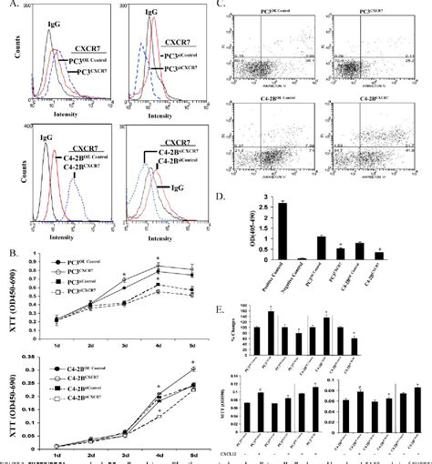 Figure From The Role Of Cxcr Rdc As A Chemokine Receptor For Cxcl