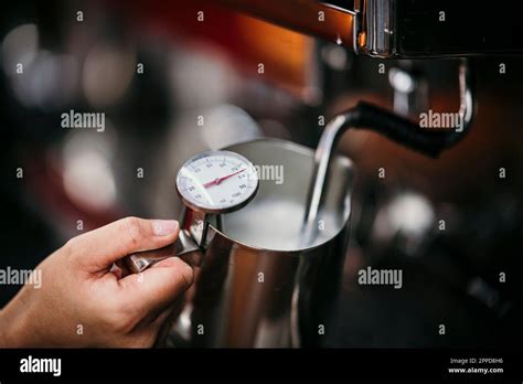barista checking temperature  steaming milk stock photo alamy