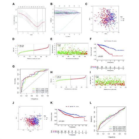 Construction And Validation Of The Arg Prognostic Signature For Crc