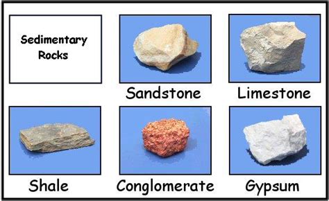 Sedimentary Rocks Examples