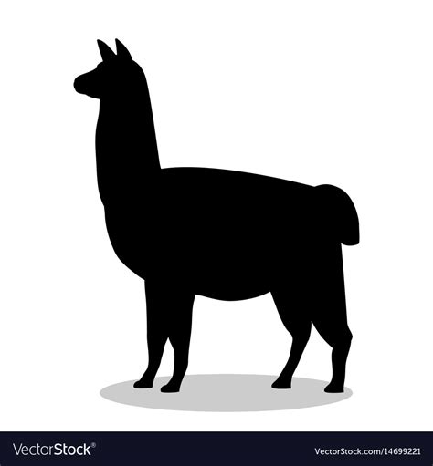 Lama Mammal Black Silhouette Animal Royalty Free Vector