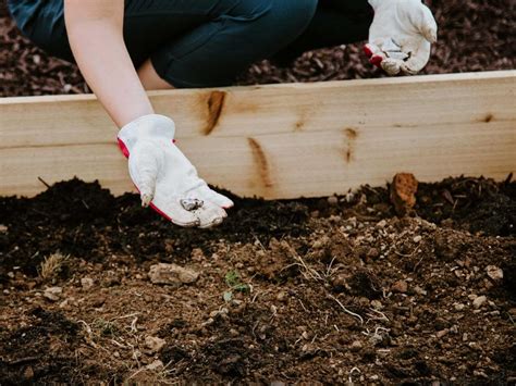 How To Fill Your Raised Garden Bed Hgtv