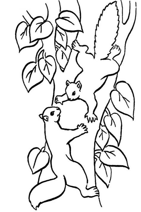 Squirrel Climbing Tree Clip Art