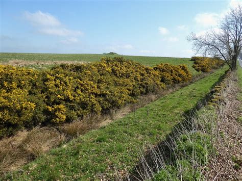 Defensive Ditch Kevin Waterhouse Cc By Sa 2 0 Geograph Britain And