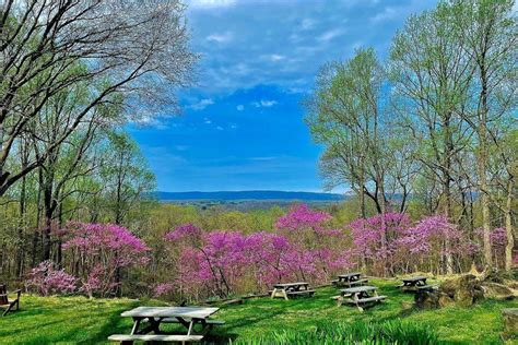 10 Best Wineries Near Luray Virginia Virginia Vacation Guide