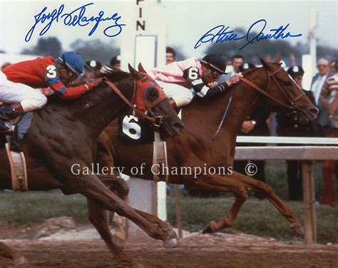 Art And Collectibles Collectibles Affirmed Alydar 1978 Kentucky Derby