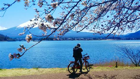 Kanagawa Mount Fuji Cherry Blossoms Hakone One Day Tour Lake