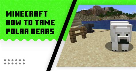 Minecraft How To Tame Polar Bears Easy Steps