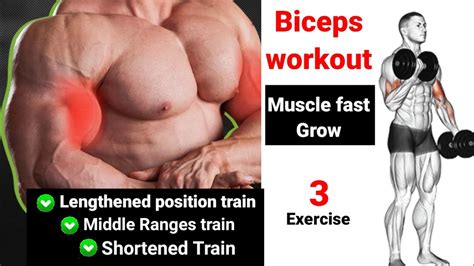 How To Build Your Biceps Fast Workout 3 Effective Exercise Youtube