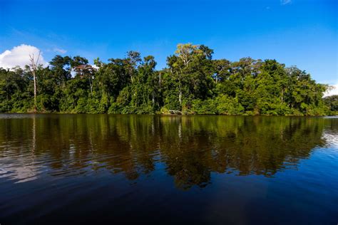 Parque Nacional Del Manu Joya De Conservación Mundial De La