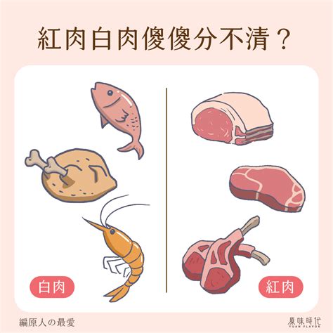 紅肉？白肉？營養師教你怎麼吃！