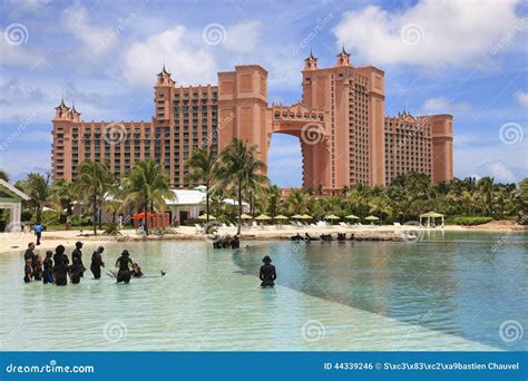 Dolphin At The Atlantis Hotel Editorial Photo Image Of Nassau Jump 44339246