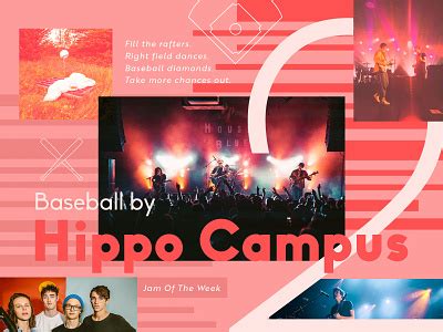 Hippo Campus designs, themes, templates and downloadable graphic elements on Dribbble