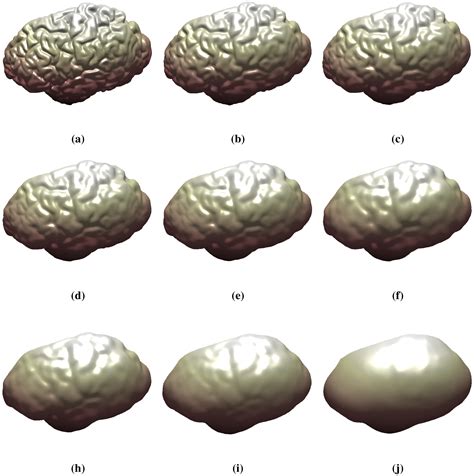 Axioms Free Full Text Conformal Based Surface Morphing And Multi