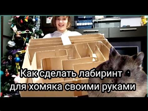 Как сделать лабиринт для хомяка из картона.Бесплатно лабиринт для ...
