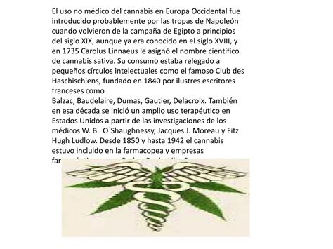 La Produccion De La Marihuana Por Isaac Gomez Colegio Araucaria Puente