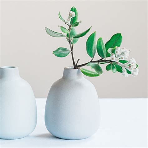 bud vases website pack saas