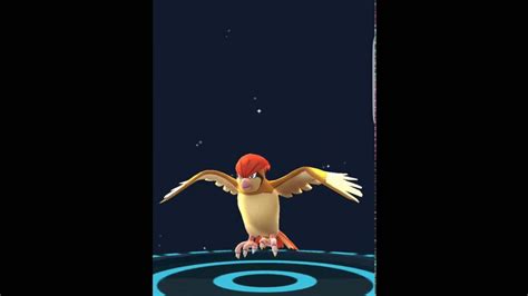 Evolve Pidgey To Level Up Fast In Pokémon Go Youtube