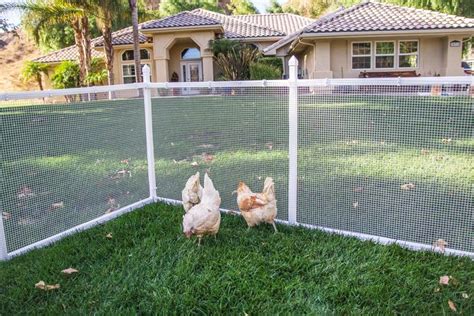 Diy Chicken Coop Corral In 2021 Wire Mesh Fence Mesh Fencing Wire Mesh